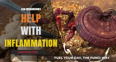 Mushrooms' Anti-Inflammatory Power: Natural Remedies for Reducing Inflammation