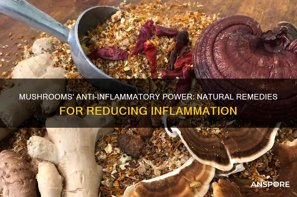 can mushrooms help with inflammation