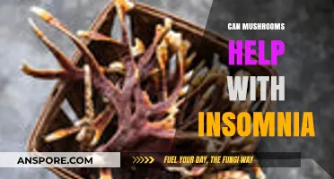 Mushrooms and Sleep: Natural Remedies for Beating Insomnia