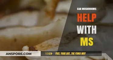 Exploring Mushrooms' Potential Benefits for Managing Multiple Sclerosis Symptoms