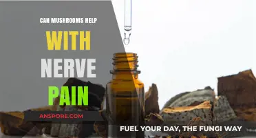 Mushrooms and Nerve Pain: Exploring Natural Relief Options