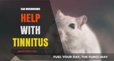 Mushrooms and Tinnitus: Exploring Natural Remedies for Ringing Ears