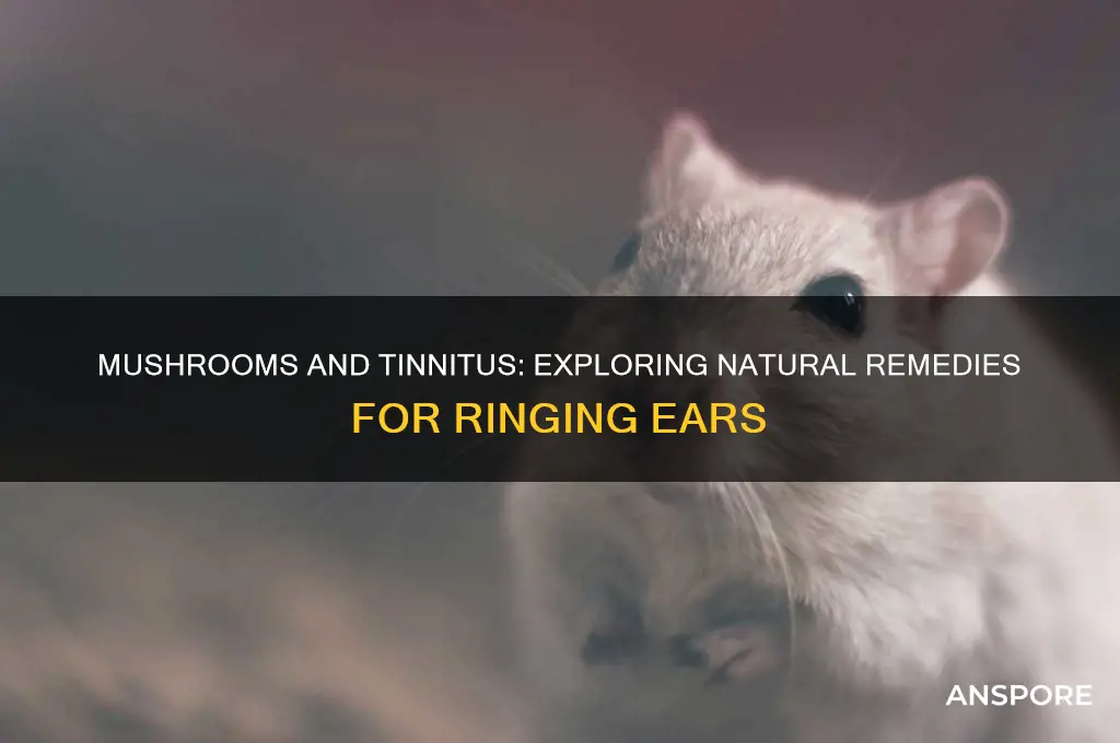 can mushrooms help with tinnitus