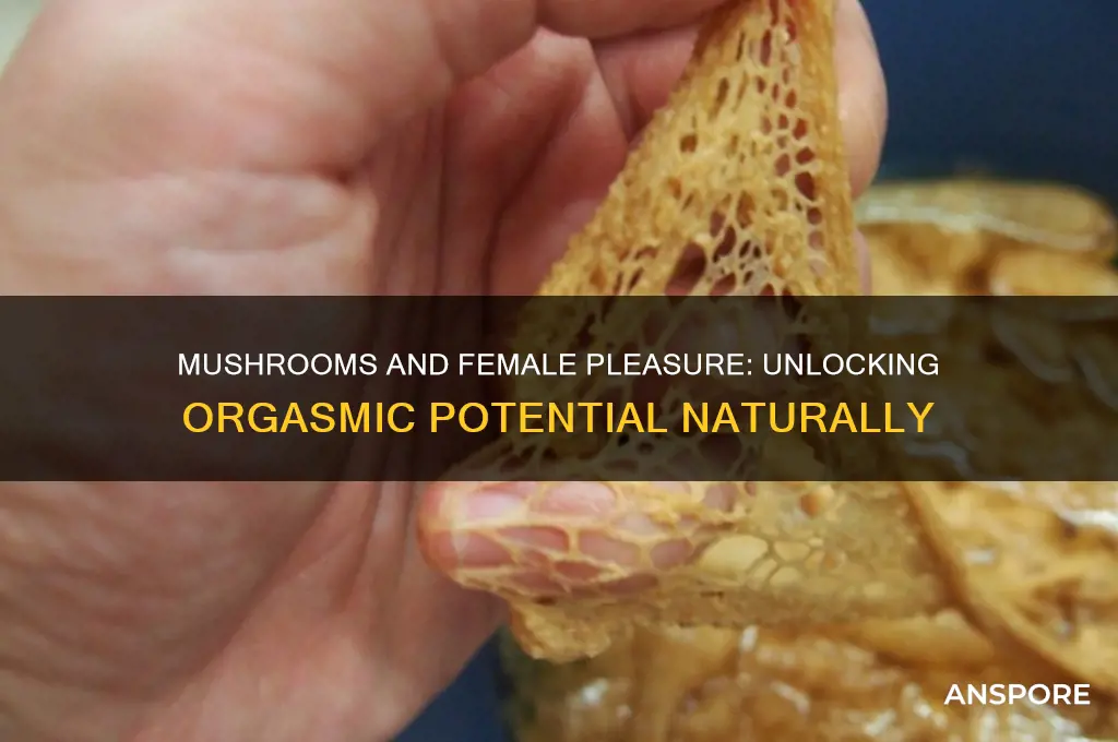 can mushrooms help women orgasm
