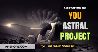Exploring Astral Projection: Can Mushrooms Unlock Out-of-Body Experiences?