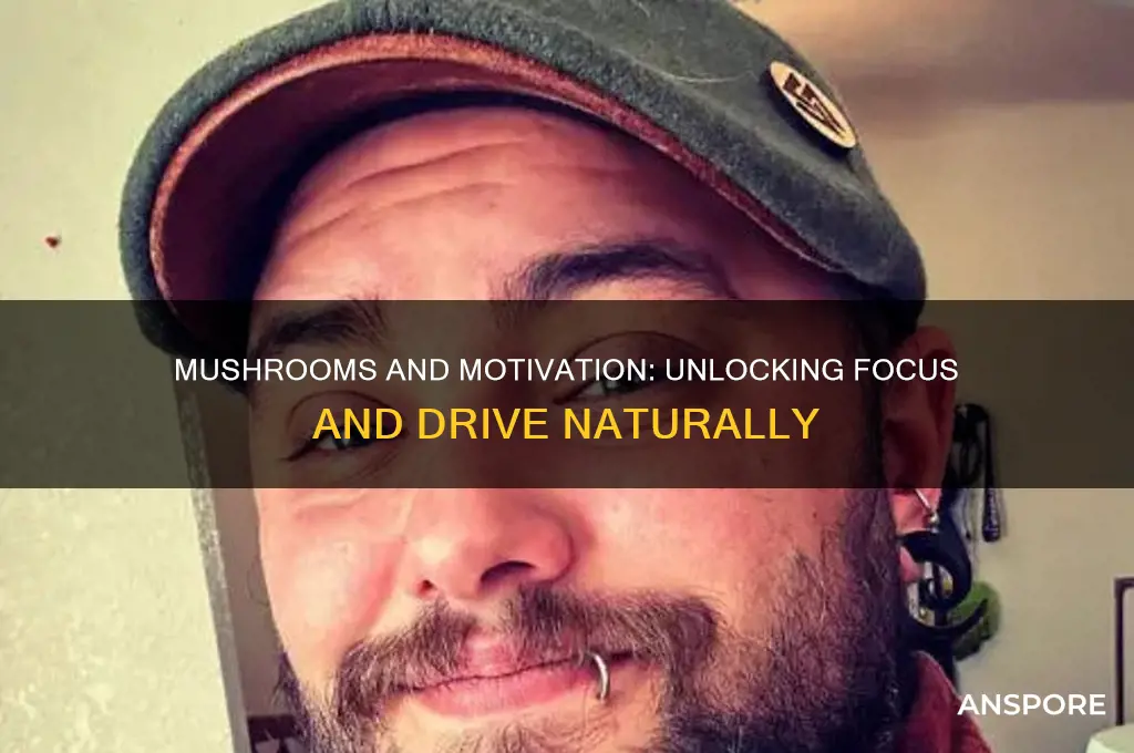 can mushrooms help you be more motivated