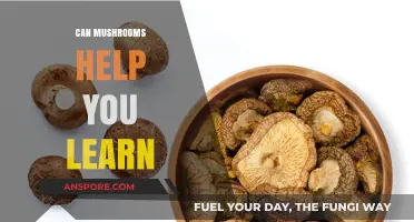 Unlocking Cognitive Potential: How Mushrooms May Enhance Learning Abilities