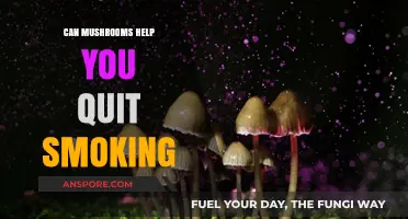 Mushrooms as a Natural Aid to Quit Smoking: What Research Says