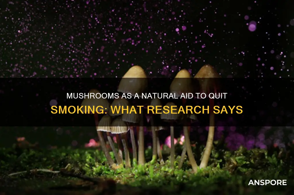 can mushrooms help you quit smoking
