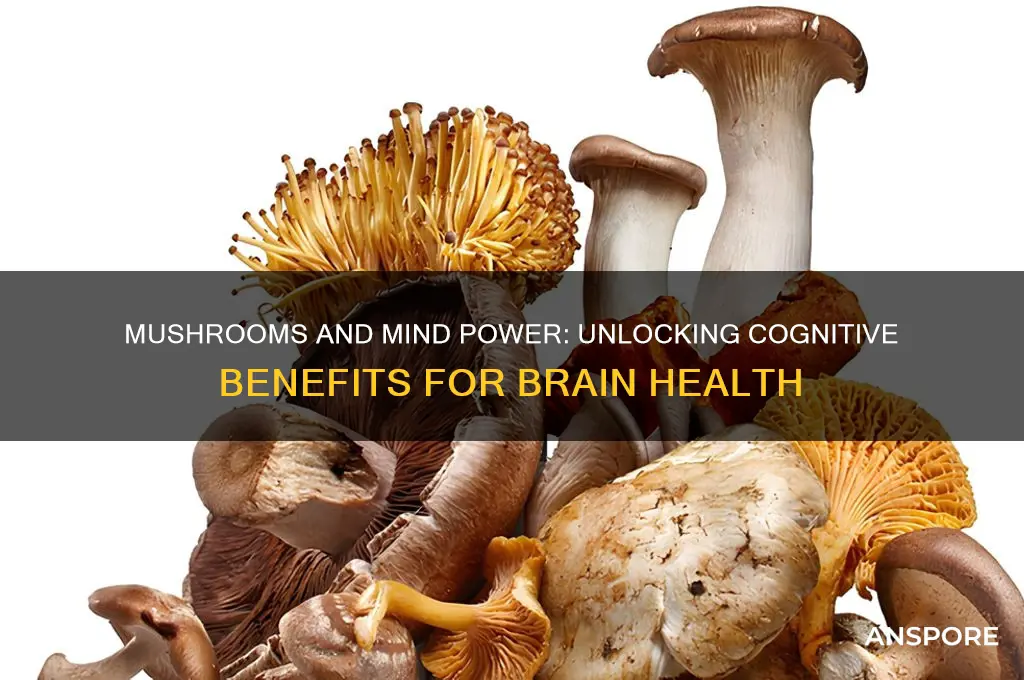 can mushrooms help your brain