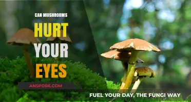 Mushrooms and Eye Safety: Potential Risks and Precautions to Consider