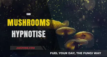 Can Mushrooms Hypnotize? Exploring the Psychedelic Mind-Altering Effects