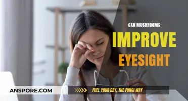 Mushrooms and Vision: Unveiling Nature's Potential for Eye Health