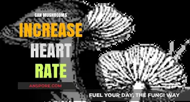 Mushrooms and Heart Rate: Exploring the Surprising Connection and Effects