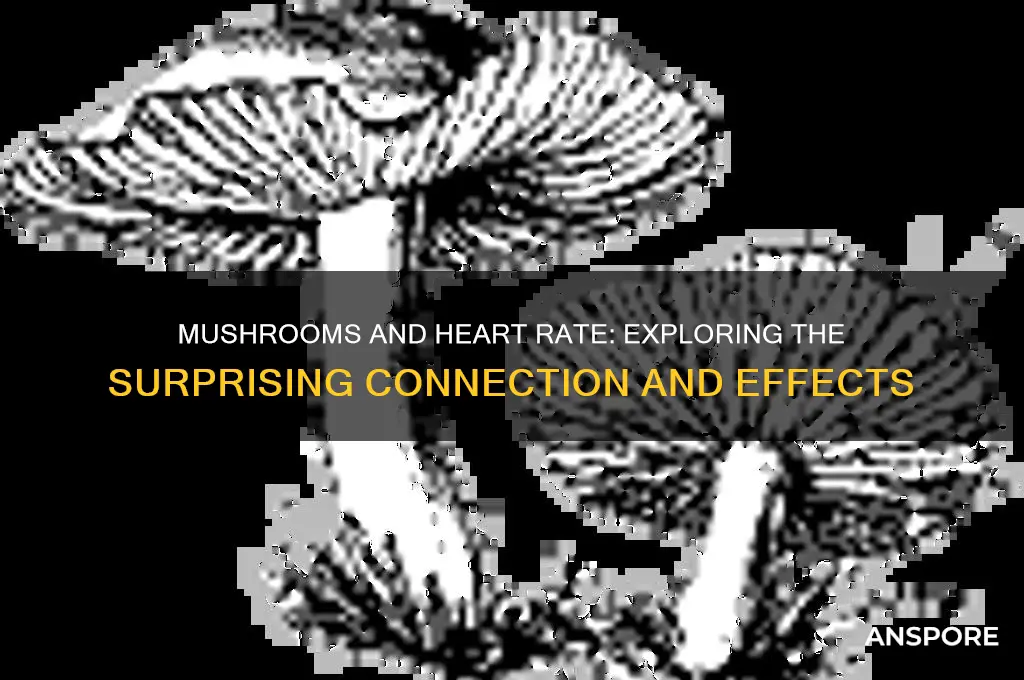 can mushrooms increase heart rate
