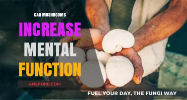 Boost Your Brain: Exploring Mushrooms' Potential to Enhance Mental Function
