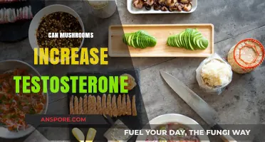 Mushrooms and Testosterone: Unveiling the Surprising Hormonal Connection