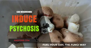 Mushrooms and Mental Health: Exploring the Link to Psychosis