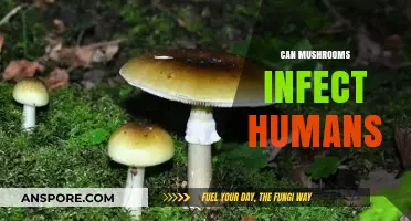 Can Mushrooms Infect Humans? Unveiling the Truth Behind Fungal Risks