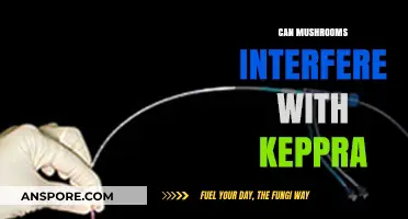 Mushrooms and Keppra: Potential Interactions and Safety Concerns Explored