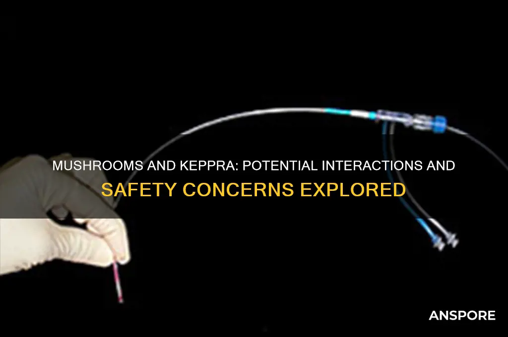 can mushrooms interfere with keppra