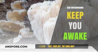 Mushrooms and Alertness: Do Fungi Boost Wakefulness Naturally?