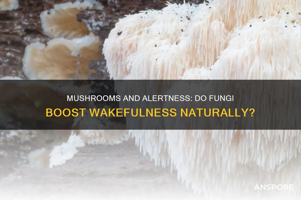 can mushrooms keep you awake
