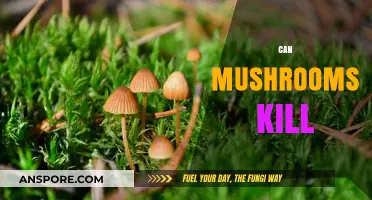 Deadly Fungi: Can Mushrooms Kill or Are They Harmless?