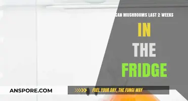 How Long Do Mushrooms Stay Fresh in the Fridge?