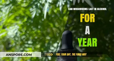 Preserving Mushrooms in Alcohol: A Year-Long Storage Solution?