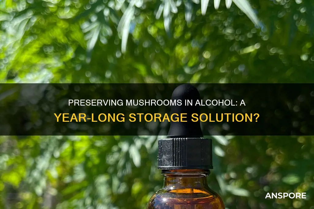 can mushrooms last in alcohol for a year