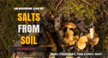 Mushrooms' Role in Extracting Salts from Soil: Fact or Fiction?