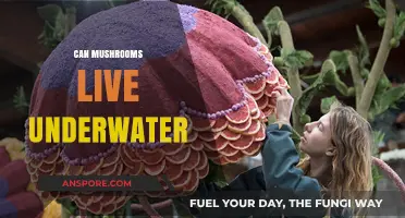 Can Mushrooms Thrive Underwater? Exploring Aquatic Fungal Life Mysteries