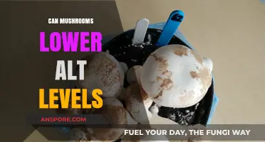 Mushrooms' Potential Role in Lowering ALT Levels: What Research Says