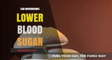 Mushrooms and Blood Sugar: Natural Ways to Manage Glucose Levels