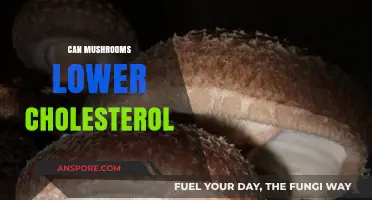 Mushrooms and Cholesterol: Natural Ways to Lower LDL Levels