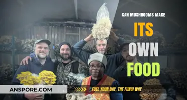 Do Mushrooms Make Their Own Food? Unveiling Fungal Nutrition Secrets