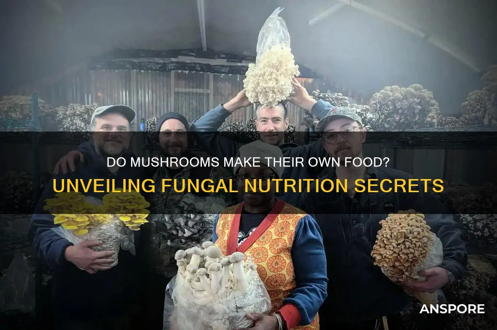 can mushrooms make its own food