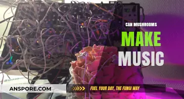 Mushrooms as Musical Instruments: Exploring Nature's Sonic Potential