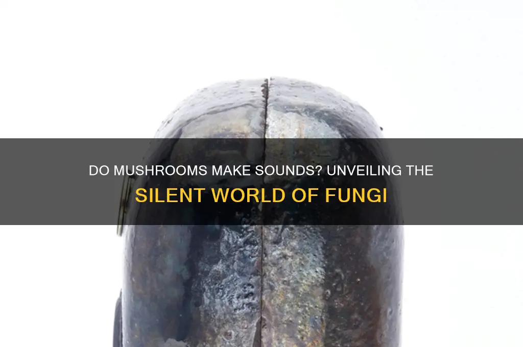 can mushrooms make noise