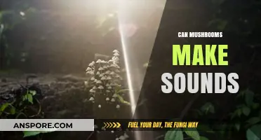 Do Mushrooms Make Sounds? Exploring the Audible Secrets of Fungi