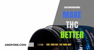 Enhancing THC Effects: Exploring Mushrooms' Potential Role in Cannabis Synergy