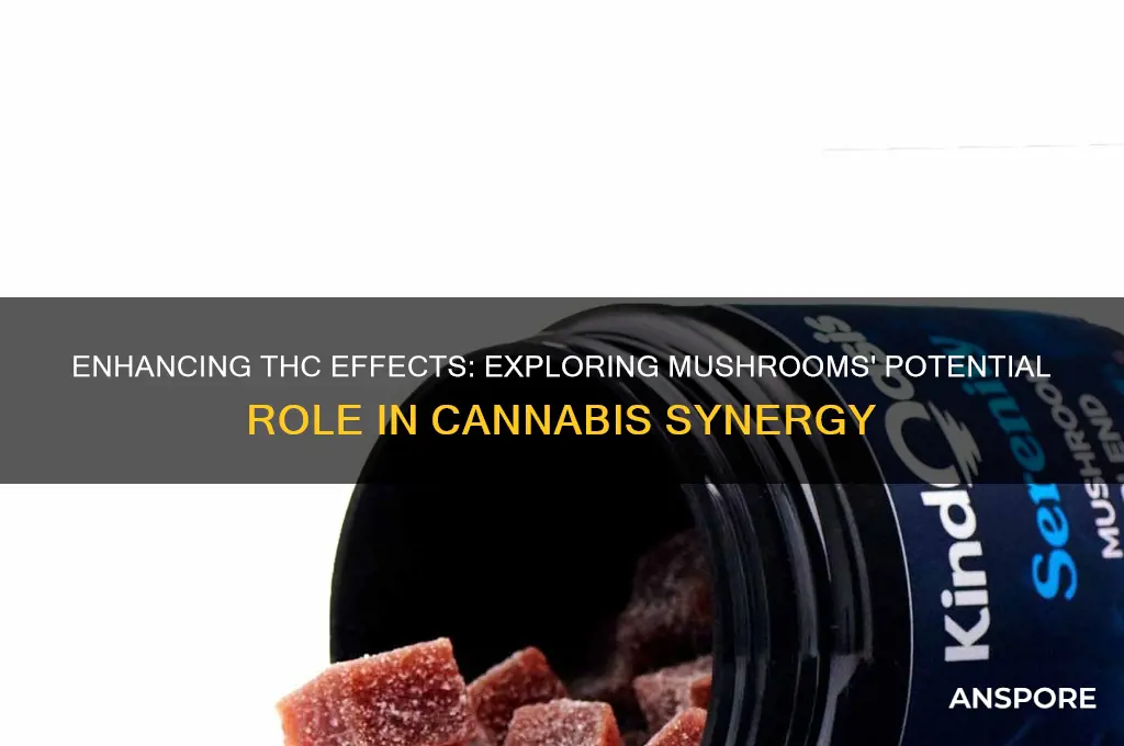 can mushrooms make thc better