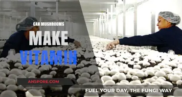 Mushrooms and Vitamin Production: Unlocking Nature's Hidden Nutritional Secrets