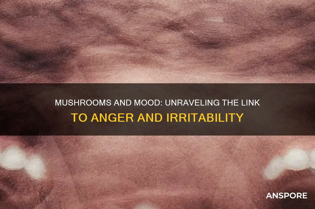can mushrooms make you angry