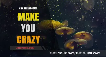 Mushrooms and Madness: Unraveling the Truth Behind Psychedelic Effects