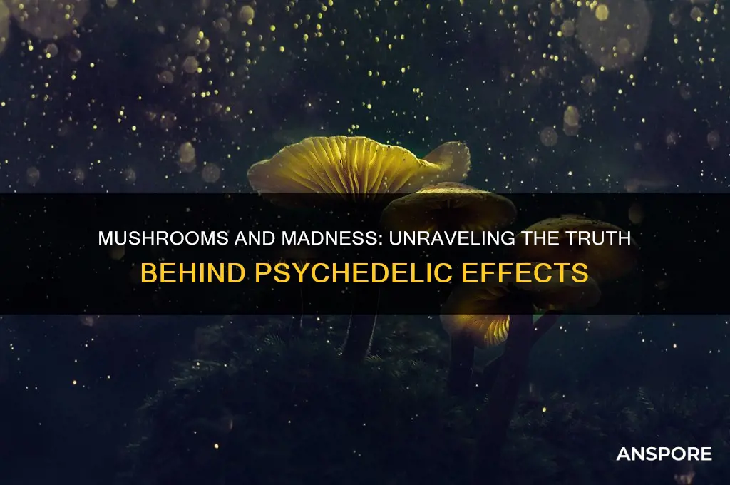 can mushrooms make you crazy