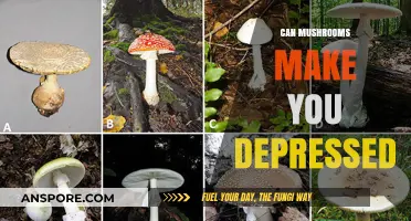 Mushrooms and Mood: Unveiling the Link to Depression Risks