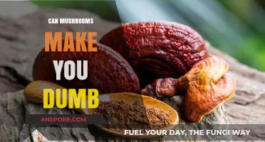 Do Mushrooms Affect Cognitive Function? Debunking the 'Dumb' Myth