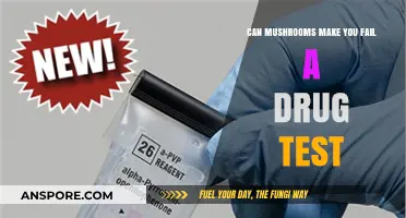 Mushrooms and Drug Tests: Will Psilocybin Cause a Positive Result?